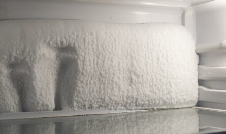 prikaz leda na zadnjem zidu frižidera
